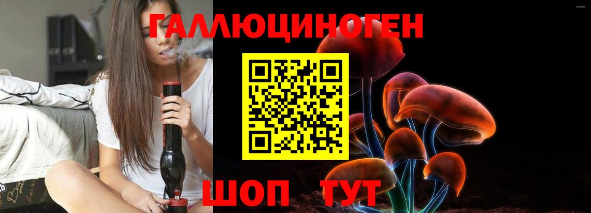 Галлюциногенные грибы MAGIC MUSHROOMS  Вход с VPN  Псилоцибиновые грибы мицелий  Видное 