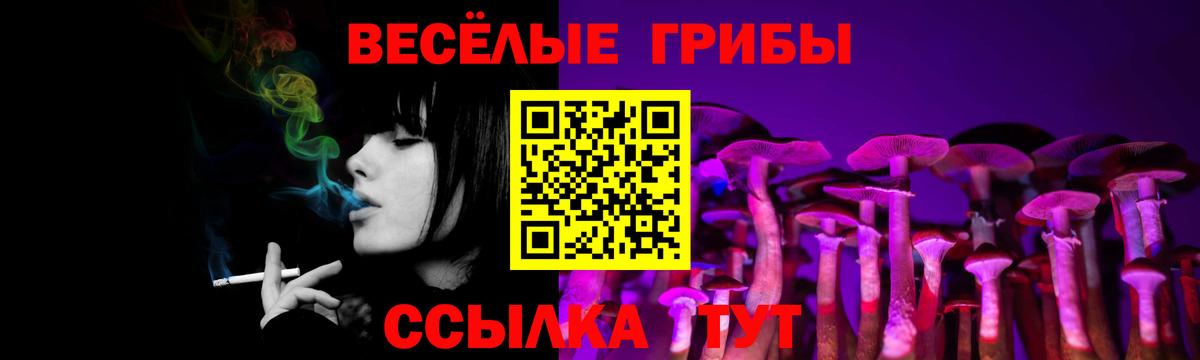 Псилоцибиновые грибы Psilocybe Видное